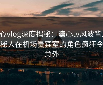 糖心vlog深度揭秘：溏心tv风波背后，神秘人在机场贵宾室的角色疯狂令人意外