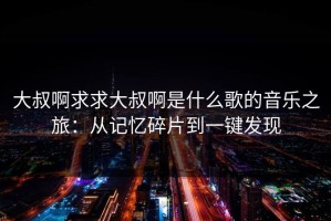 大叔啊求求大叔啊是什么歌的音乐之旅：从记忆碎片到一键发现
