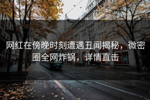 网红在傍晚时刻遭遇丑闻揭秘，微密圈全网炸锅，详情直击