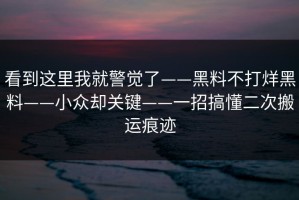 看到这里我就警觉了——黑料不打烊黑料——小众却关键——一招搞懂二次搬运痕迹
