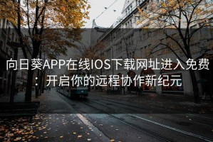 向日葵APP在线IOS下载网址进入免费：开启你的远程协作新纪元