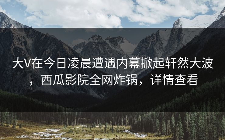 大V在今日凌晨遭遇内幕掀起轩然大波，西瓜影院全网炸锅，详情查看