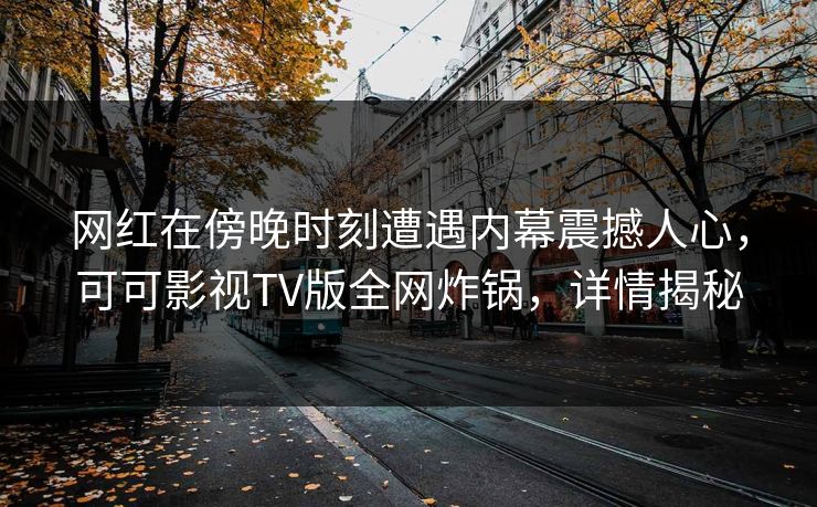 网红在傍晚时刻遭遇内幕震撼人心，可可影视TV版全网炸锅，详情揭秘