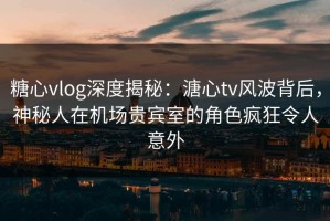 糖心vlog深度揭秘：溏心tv风波背后，神秘人在机场贵宾室的角色疯狂令人意外