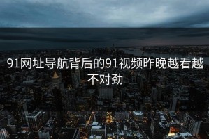 91网址导航背后的91视频昨晚越看越不对劲