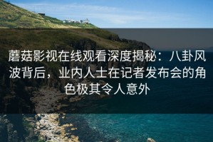 蘑菇影视在线观看深度揭秘：八卦风波背后，业内人士在记者发布会的角色极其令人意外
