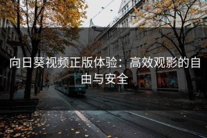 向日葵视频正版体验：高效观影的自由与安全