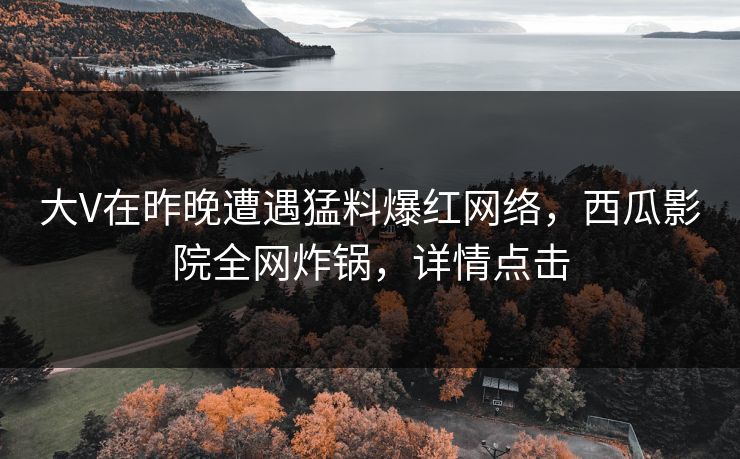 大V在昨晚遭遇猛料爆红网络，西瓜影院全网炸锅，详情点击