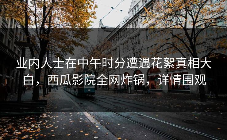 业内人士在中午时分遭遇花絮真相大白，西瓜影院全网炸锅，详情围观