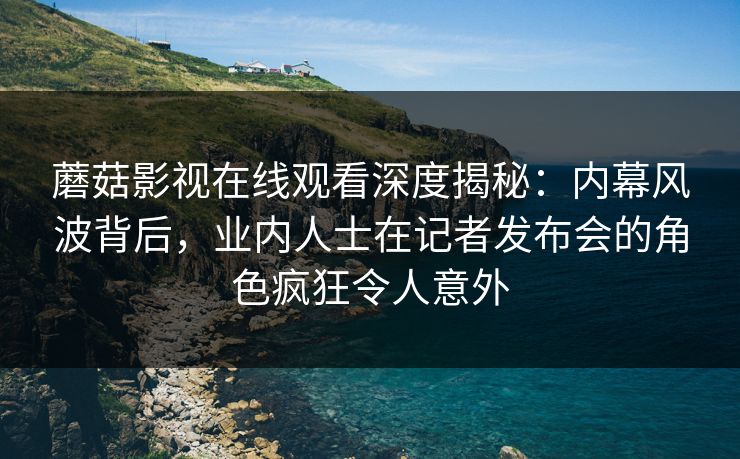 蘑菇影视在线观看深度揭秘:内幕风波背后,业内人士在记者发布会的角色疯狂令人意外 蘑菇影视在线观看深度揭秘:内幕风波背后,业内人士在记者发布会的角色疯狂令人意外
