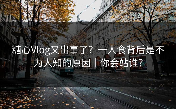 糖心Vlog又出事了？一人食背后是不为人知的原因｜你会站谁？